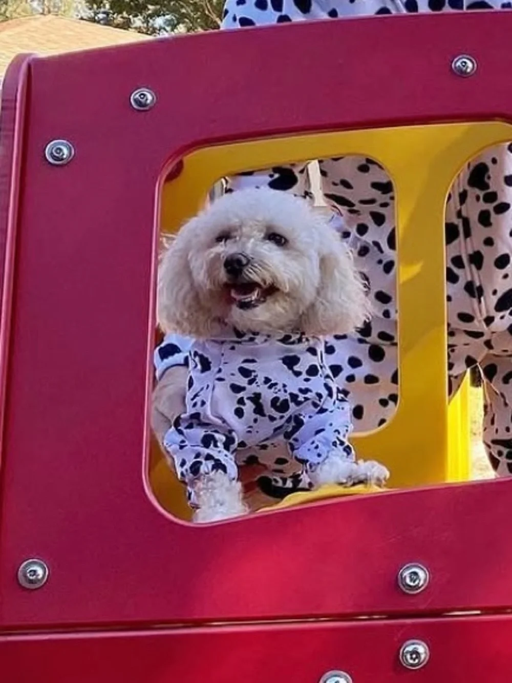 Cute Pet Dalmatian Costume Onesie - Black & White